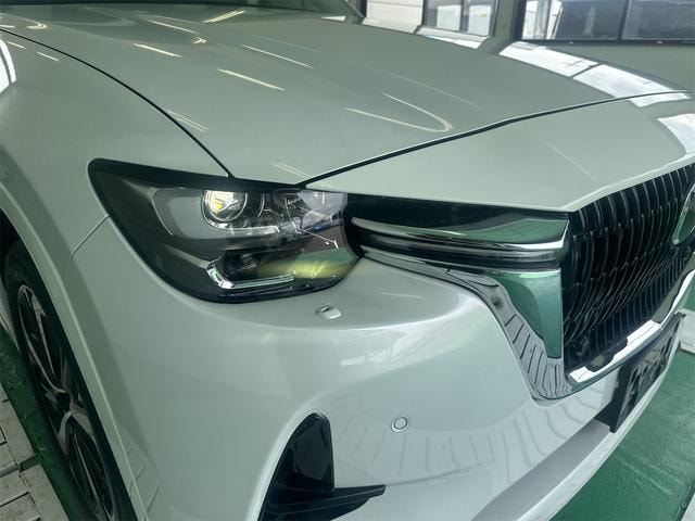 Миниатюра 28