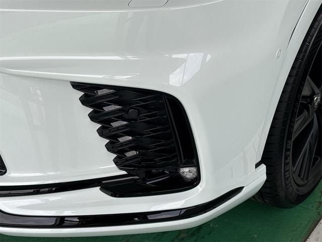 Миниатюра 55
