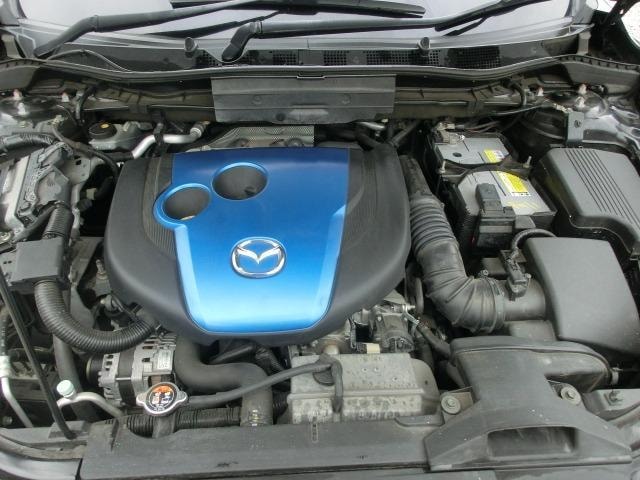 Миниатюра 44
