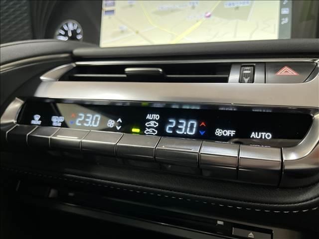 Миниатюра 30