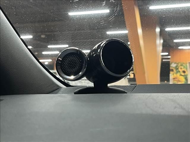 Миниатюра 37