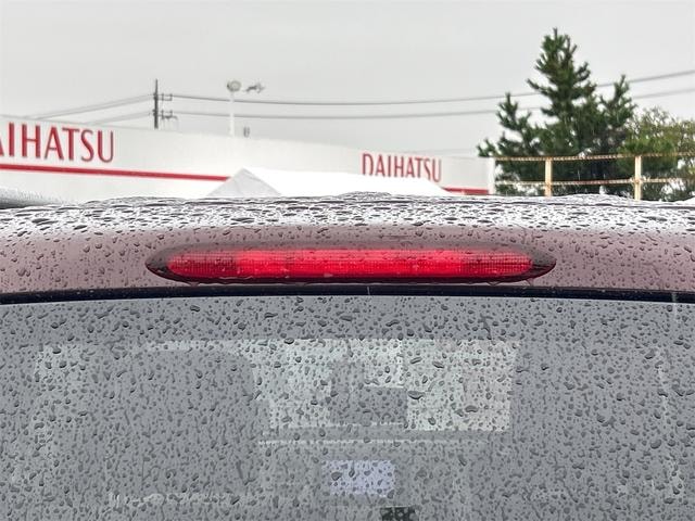 Миниатюра 31