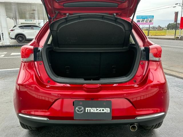 Миниатюра 12