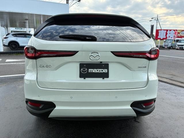 Миниатюра 8