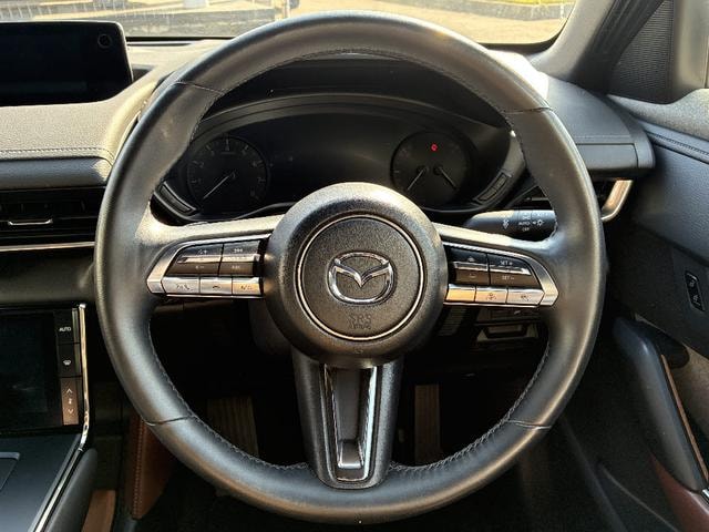 Миниатюра 14