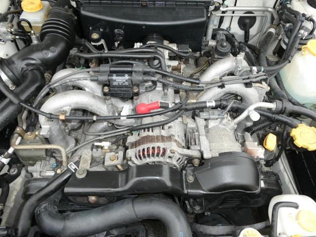 Миниатюра 47