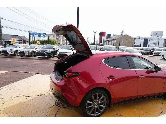 Миниатюра 39