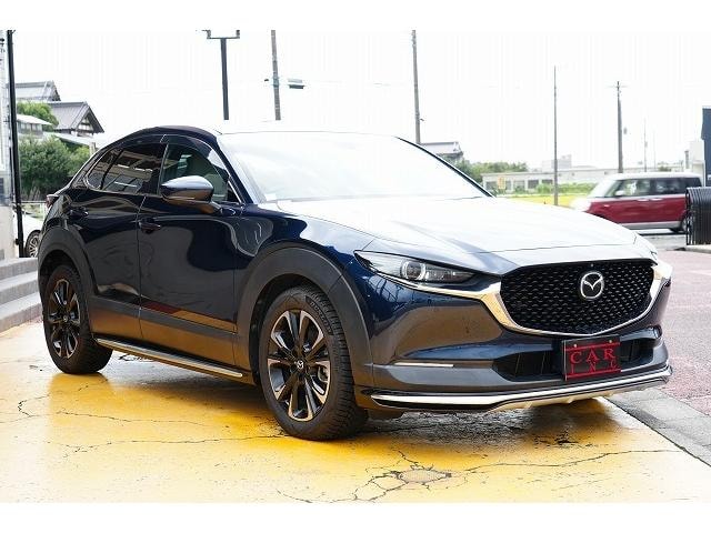 Миниатюра 29