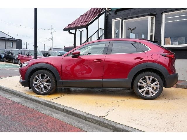 Миниатюра 19