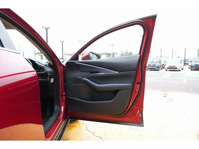 Миниатюра 30
