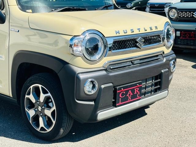 Миниатюра 33
