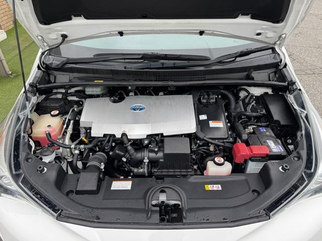 Миниатюра 49