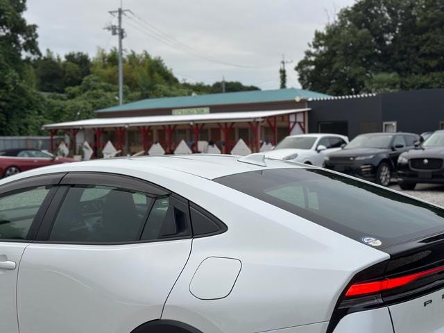 Миниатюра 58