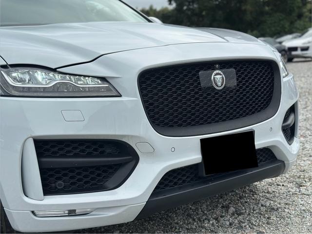 Миниатюра 49