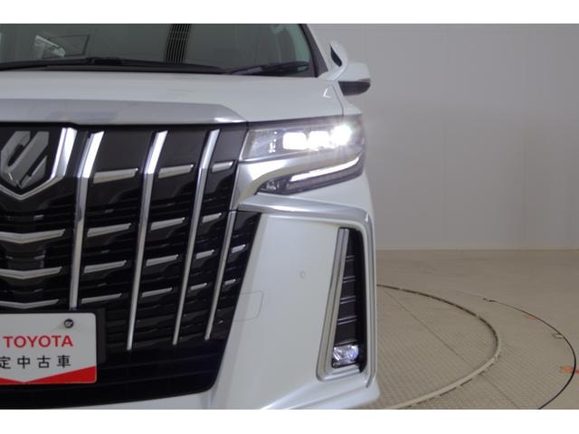 Toyota ALPHARD 2019 — фото автомобиля 1