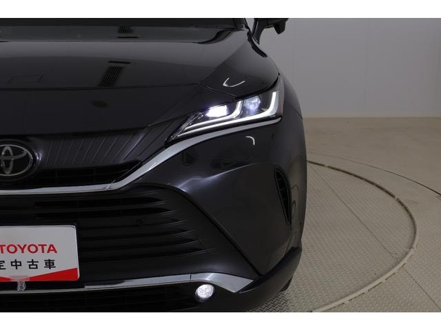 Миниатюра 43