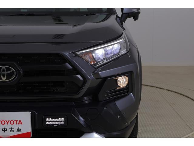Миниатюра 41