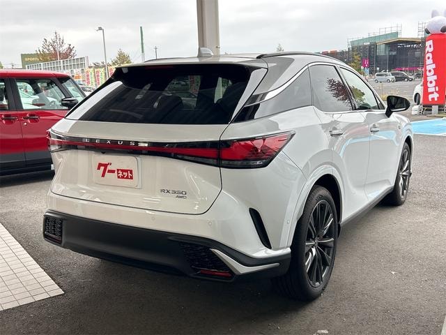 Миниатюра 33