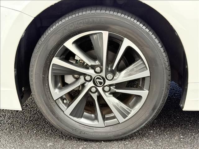Миниатюра 44