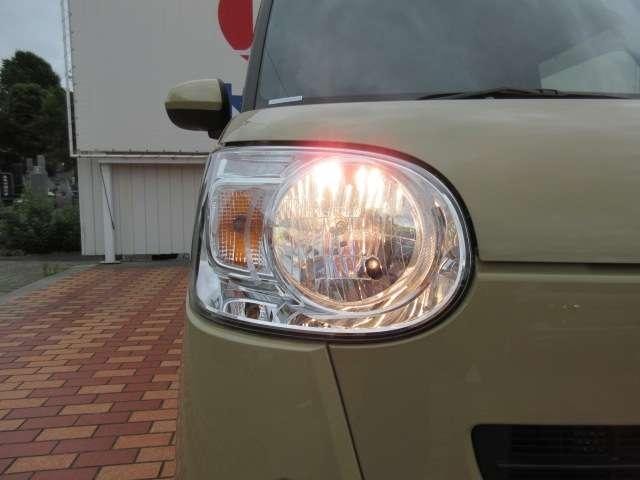 Миниатюра 50