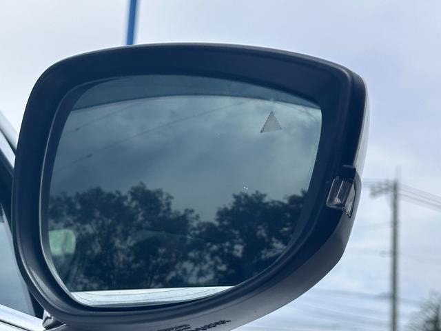 Миниатюра 47