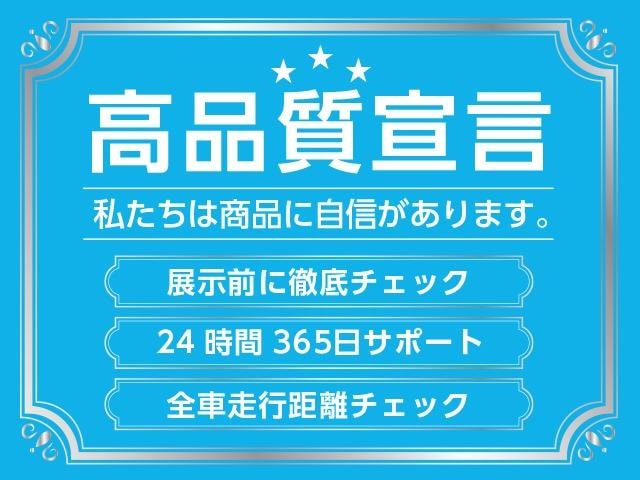 Миниатюра 66
