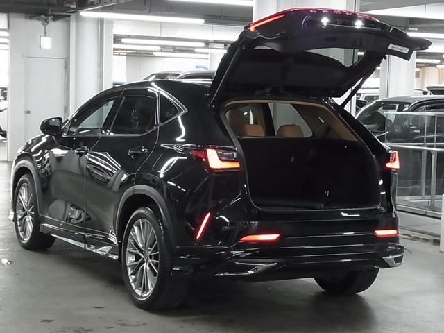 Миниатюра 26