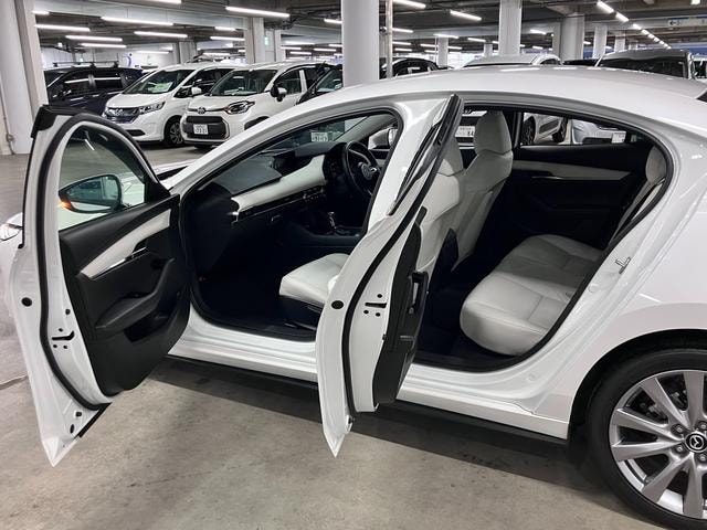 Миниатюра 22