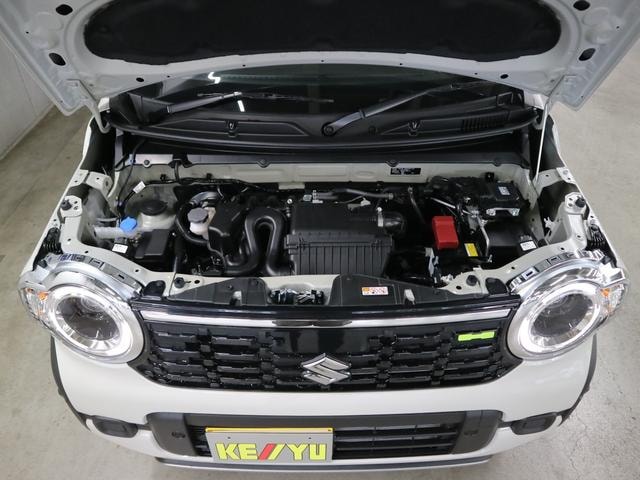 Миниатюра 41
