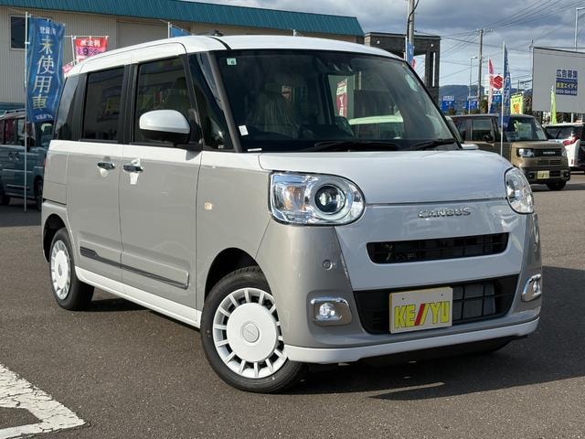 Миниатюра 60