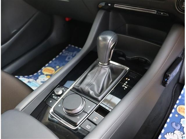 Миниатюра 15