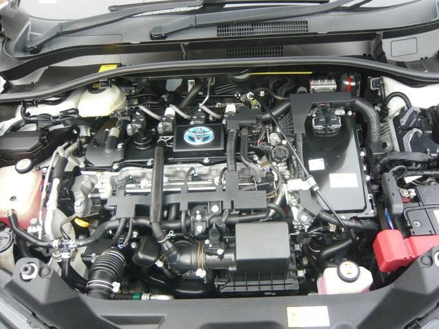Миниатюра 48