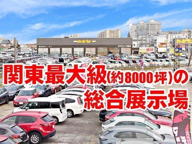 Миниатюра 51