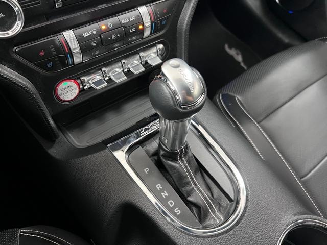 Миниатюра 13