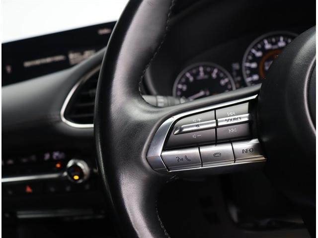Миниатюра 30
