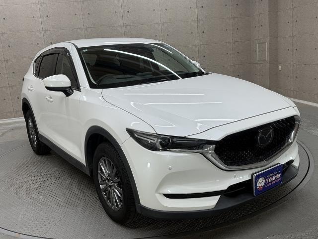 Миниатюра 31