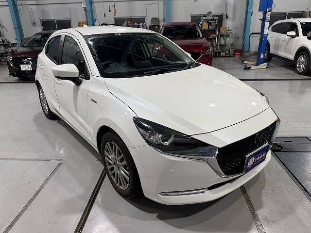 Миниатюра 10