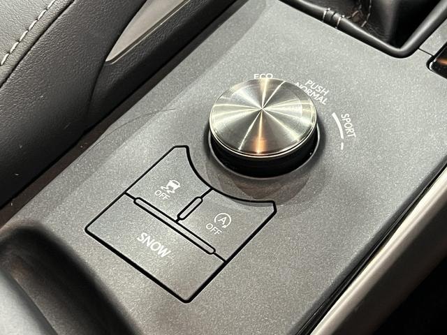 Миниатюра 44