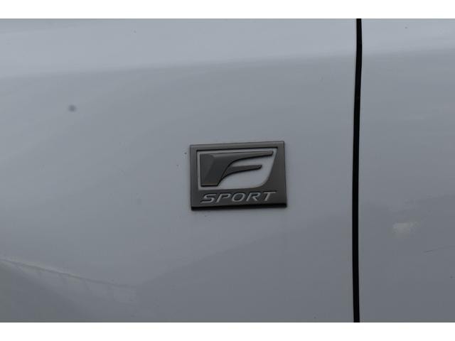 Миниатюра 73