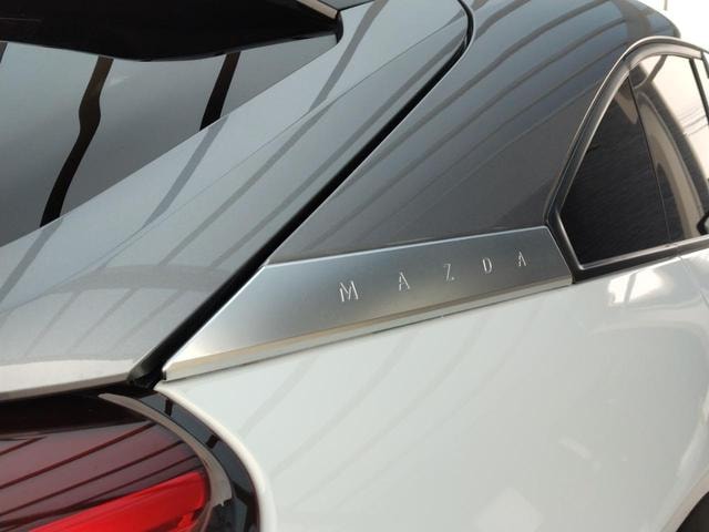 Миниатюра 41