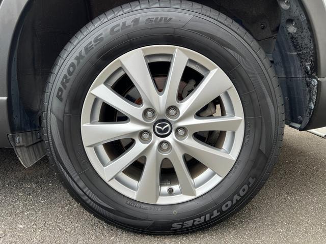 Миниатюра 58