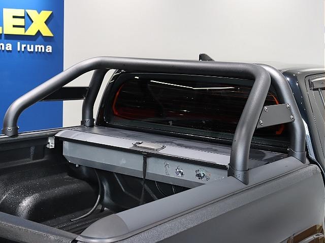 Миниатюра 33