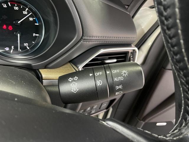 Миниатюра 49