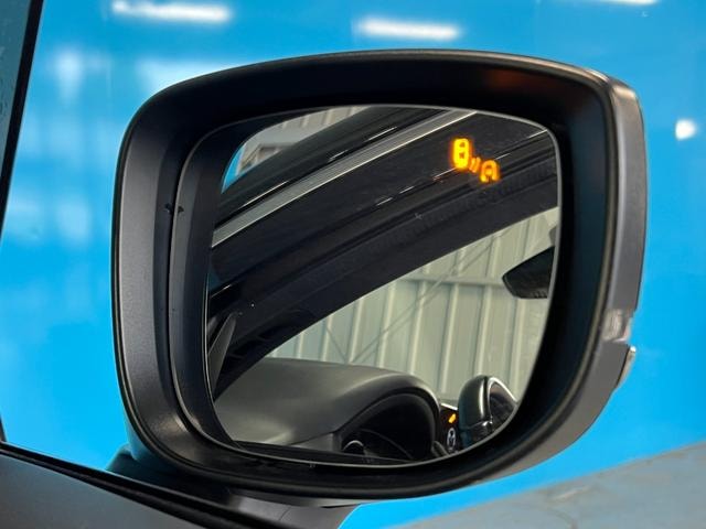 Миниатюра 31