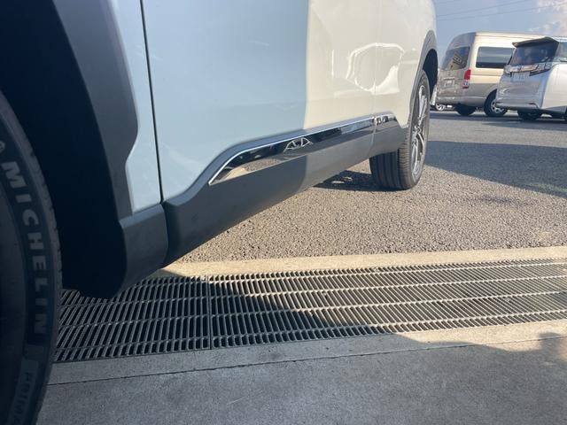 Миниатюра 43