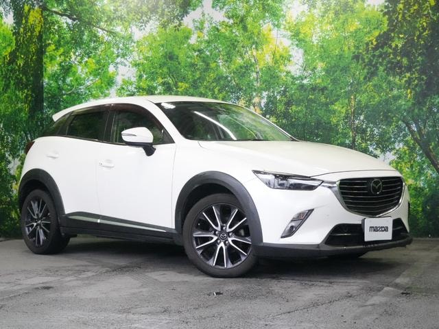 Миниатюра 25