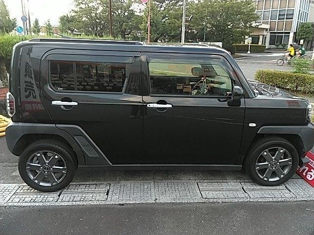 Миниатюра 17