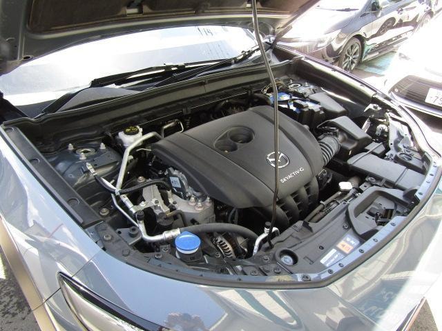 Миниатюра 65