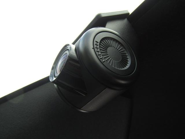 Миниатюра 66