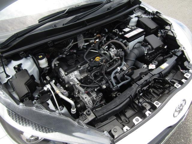 Миниатюра 55